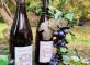 Beaujolais Nouveau Résidence le Château de la Malle Bouc-Bel-Air